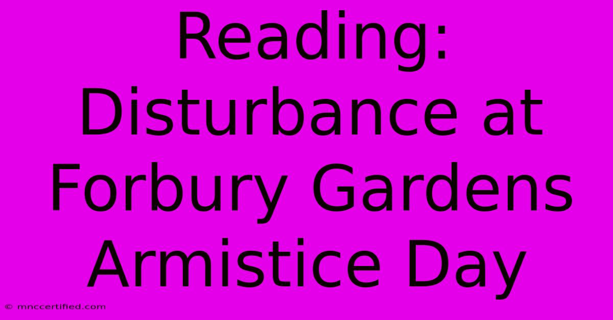 Reading: Disturbance At Forbury Gardens Armistice Day