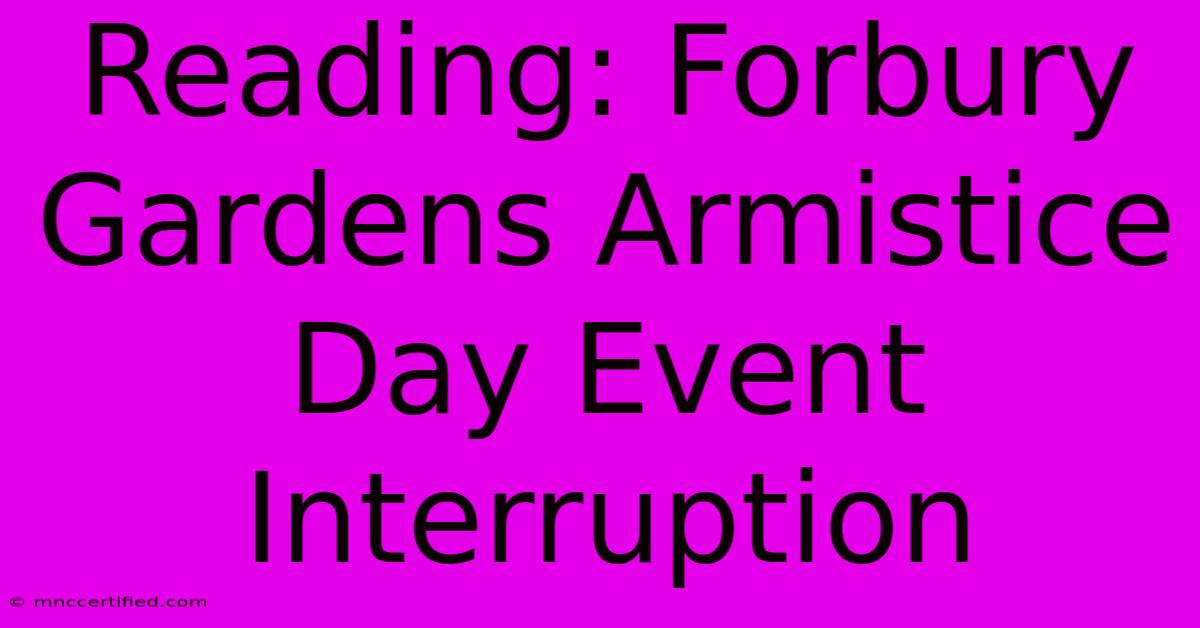 Reading: Forbury Gardens Armistice Day Event Interruption 