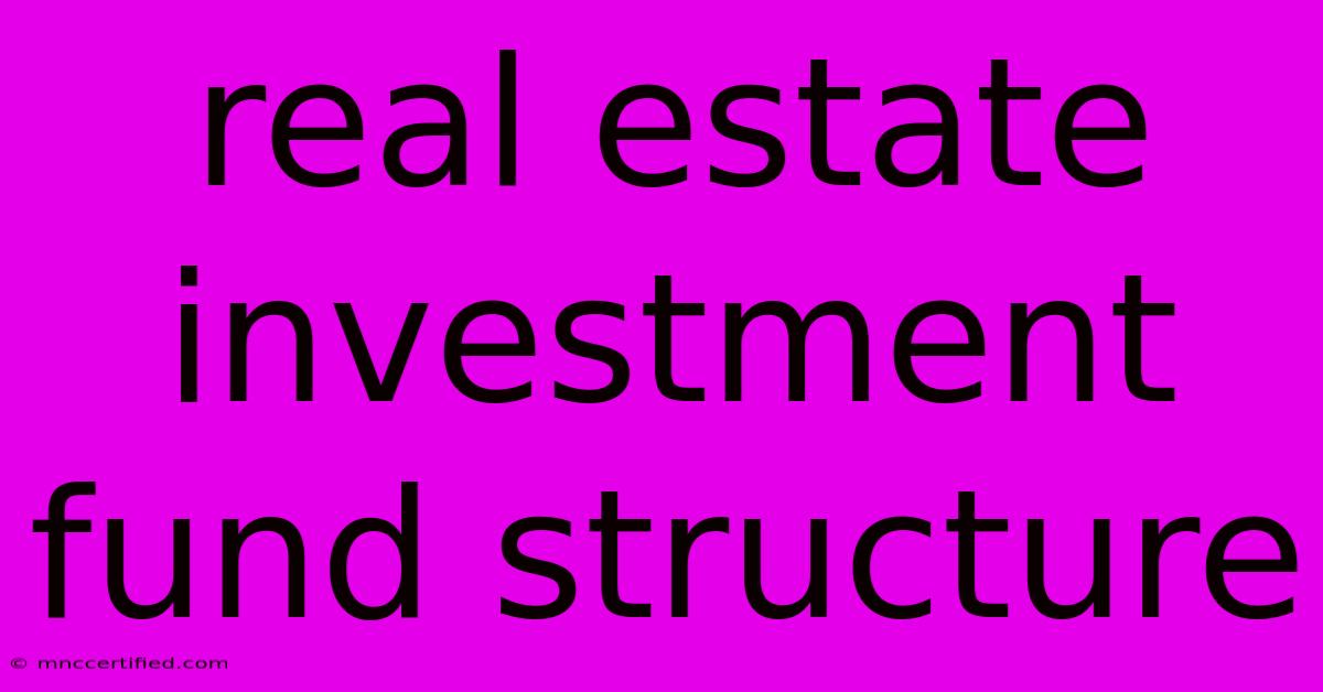 Real Estate Investment Fund Structure