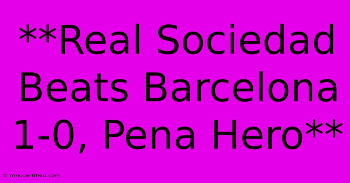 **Real Sociedad Beats Barcelona 1-0, Pena Hero** 