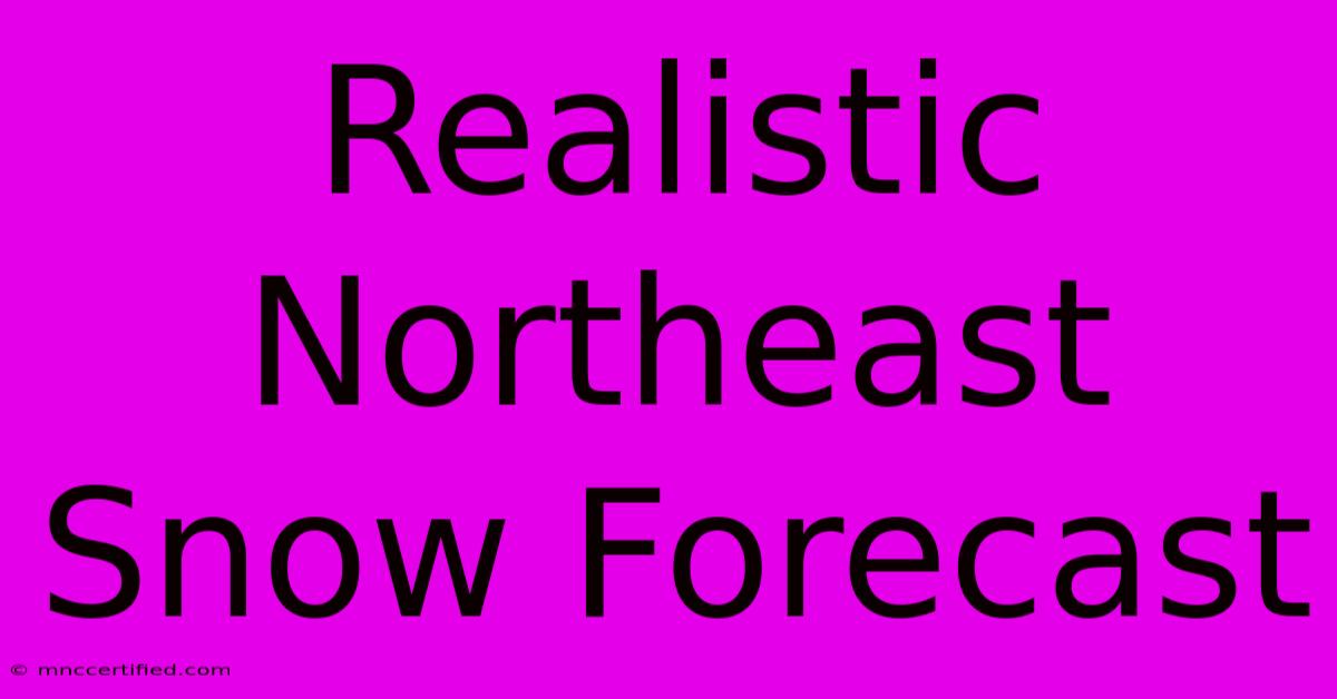 Realistic Northeast Snow Forecast