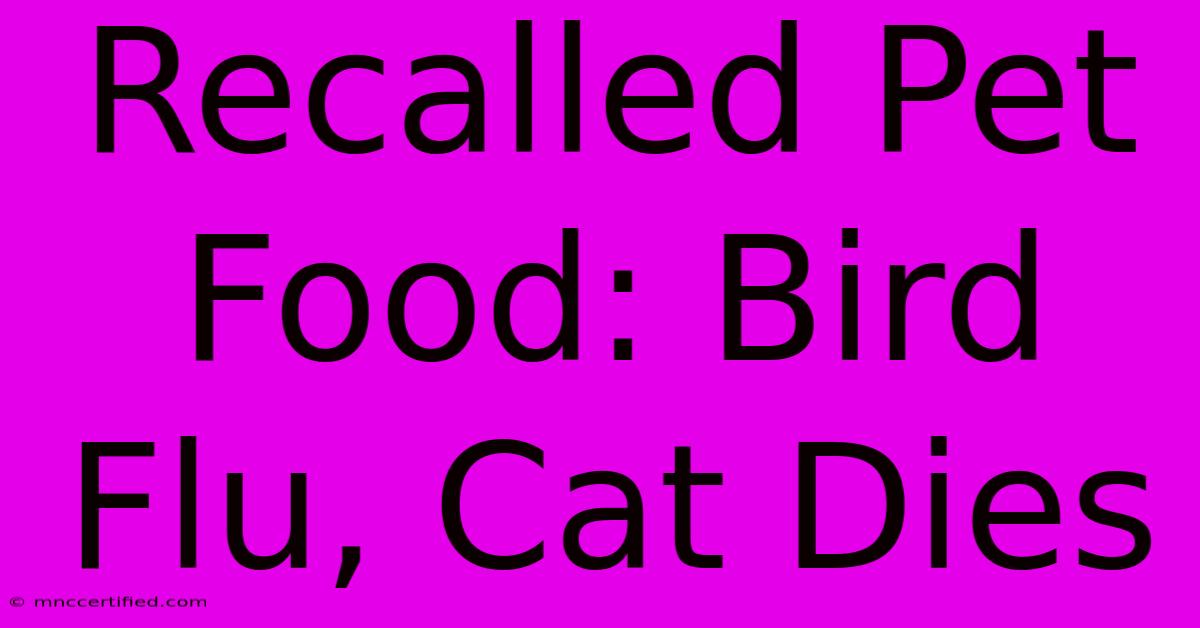 Recalled Pet Food: Bird Flu, Cat Dies