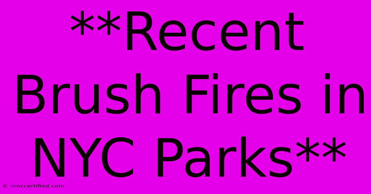 **Recent Brush Fires In NYC Parks**