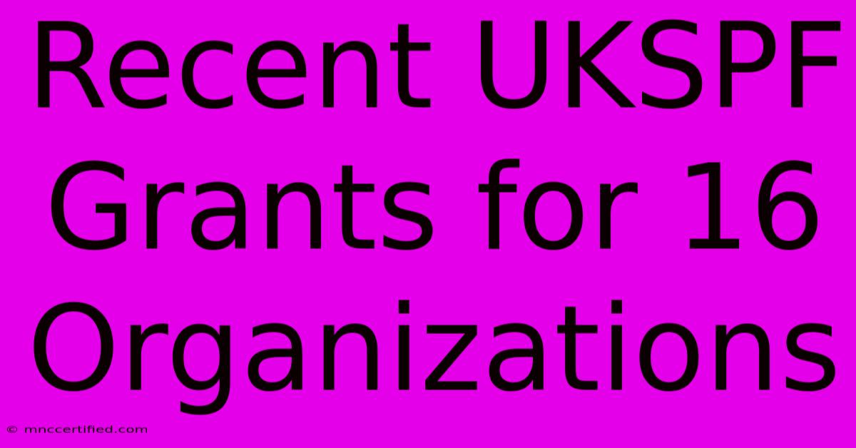 Recent UKSPF Grants For 16 Organizations