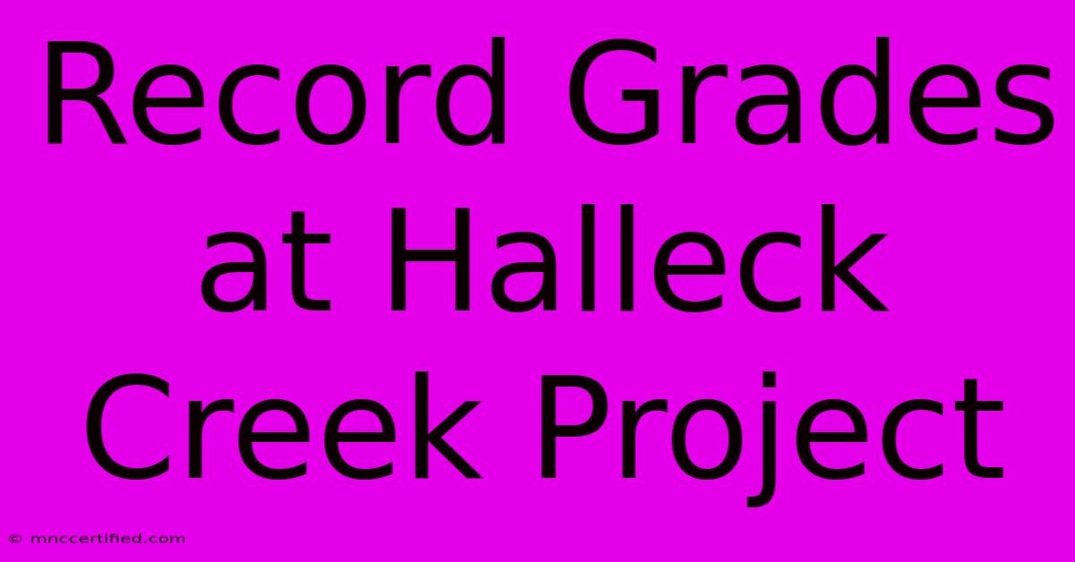 Record Grades At Halleck Creek Project