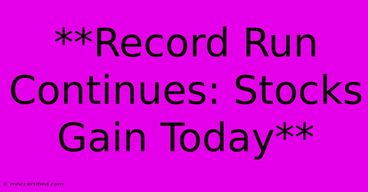 **Record Run Continues: Stocks Gain Today**