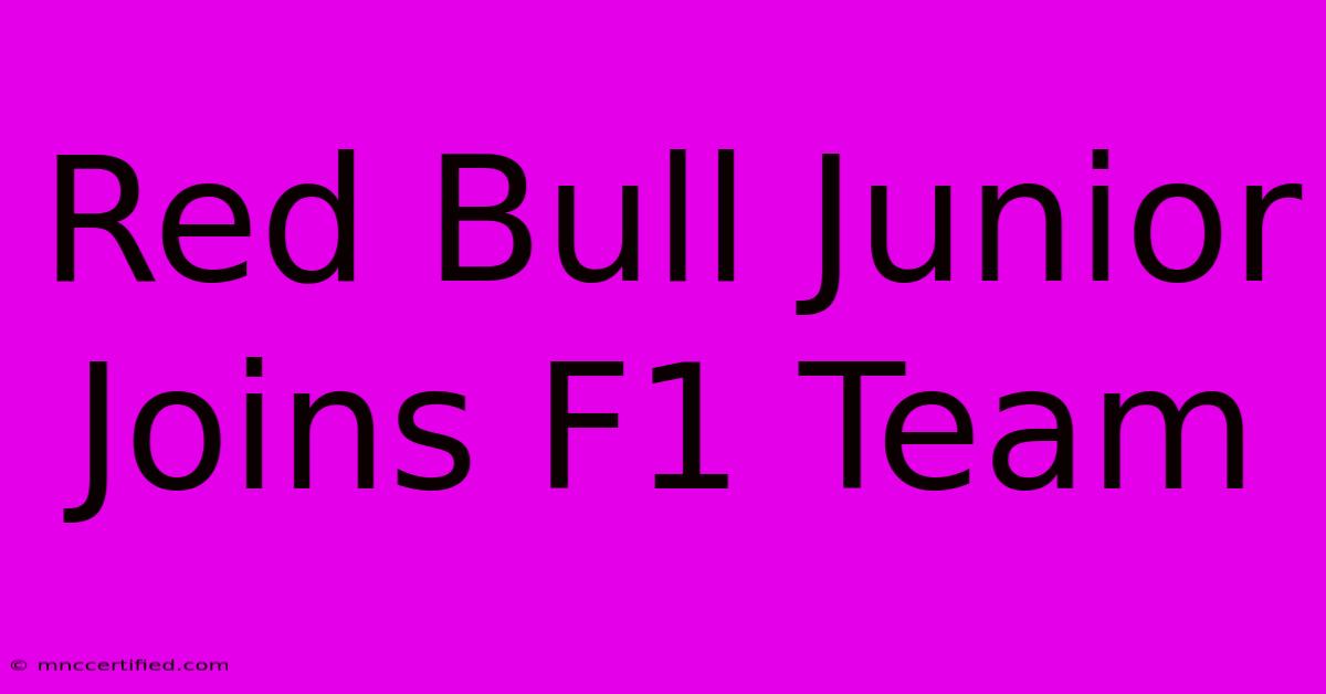 Red Bull Junior Joins F1 Team