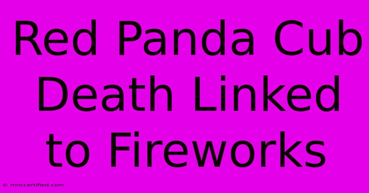 Red Panda Cub Death Linked To Fireworks