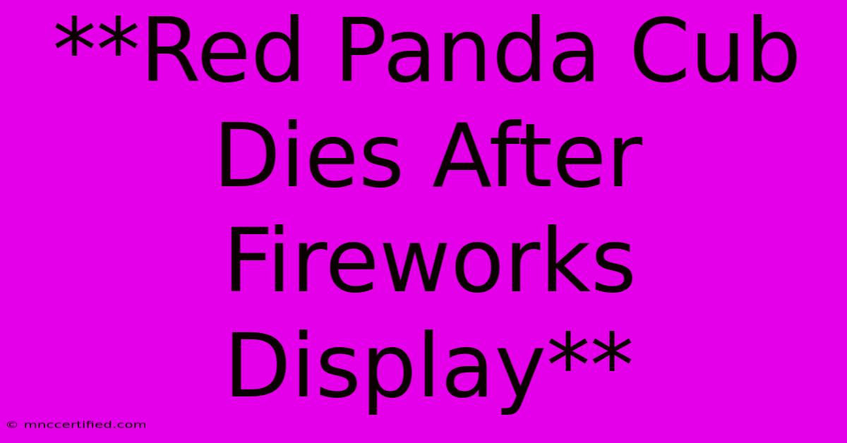 **Red Panda Cub Dies After Fireworks Display**