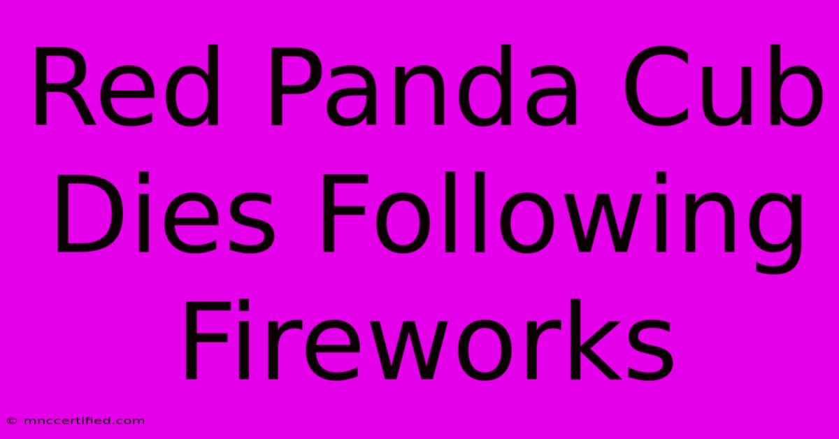 Red Panda Cub Dies Following Fireworks