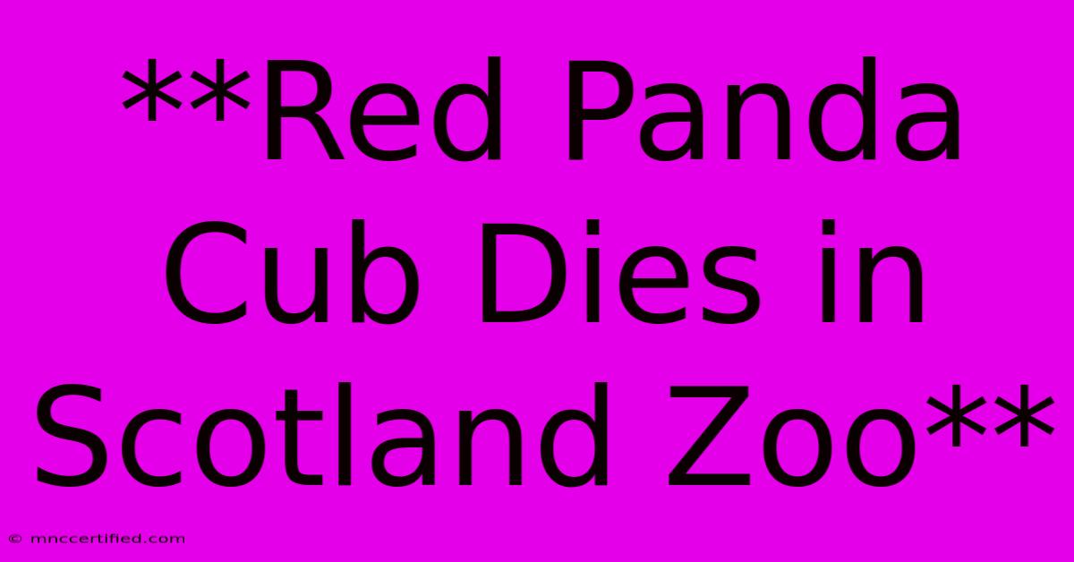 **Red Panda Cub Dies In Scotland Zoo** 