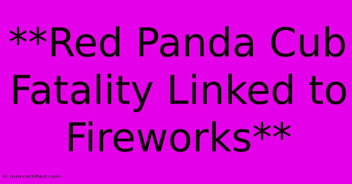 **Red Panda Cub Fatality Linked To Fireworks** 