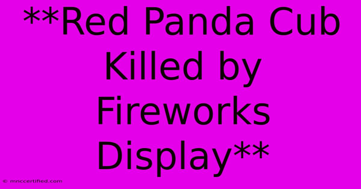 **Red Panda Cub Killed By Fireworks Display**