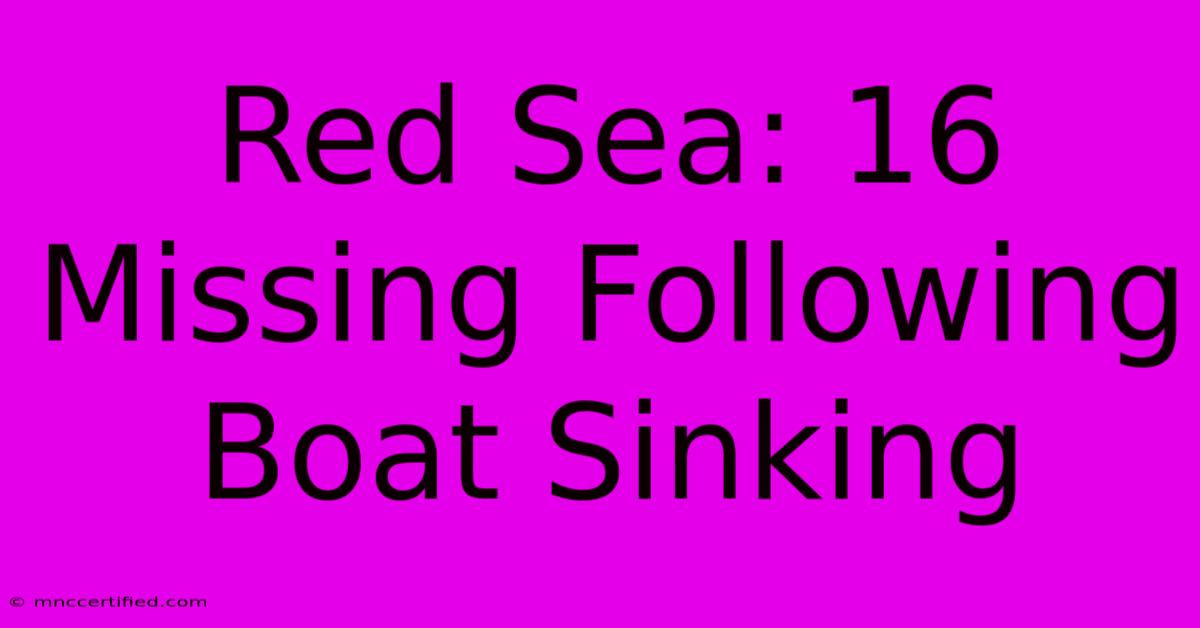 Red Sea: 16 Missing Following Boat Sinking