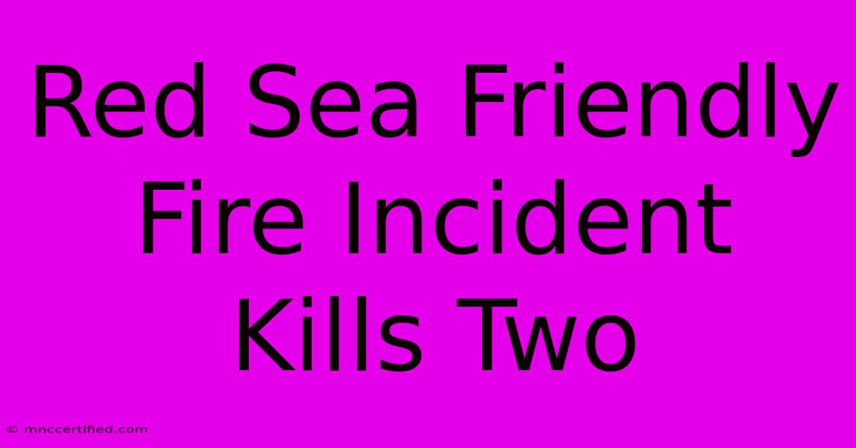 Red Sea Friendly Fire Incident Kills Two