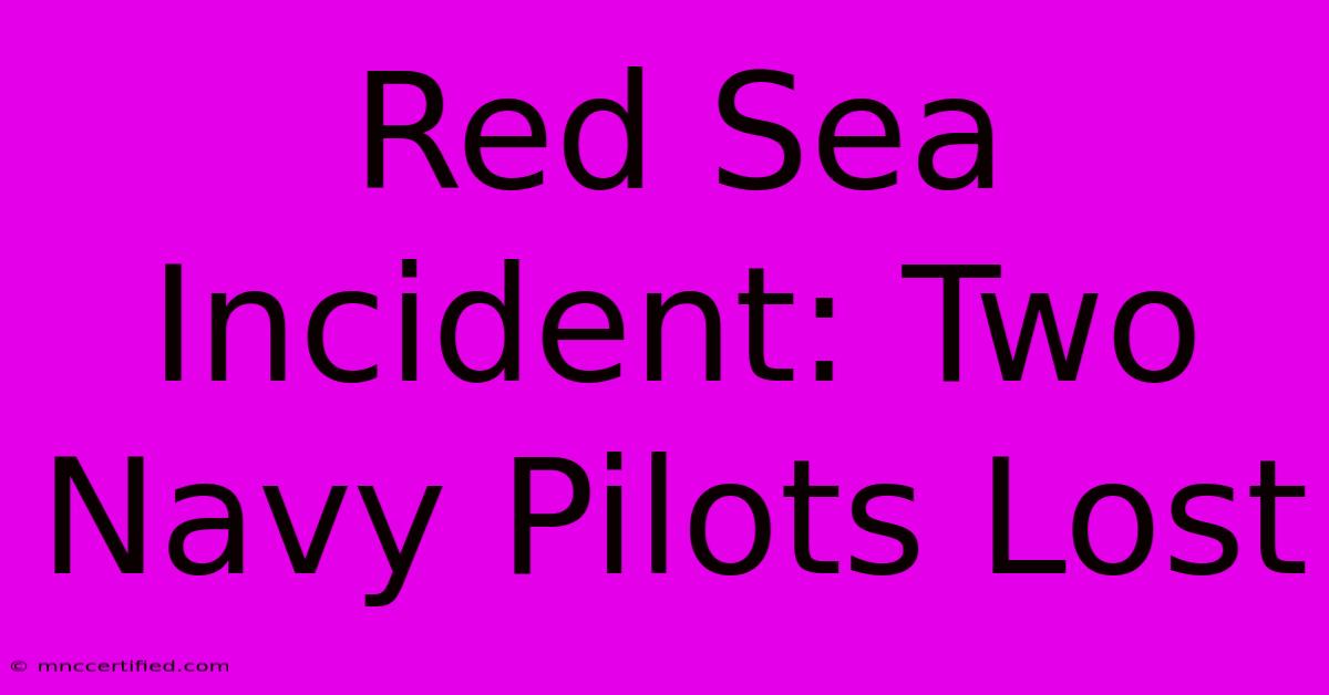 Red Sea Incident: Two Navy Pilots Lost