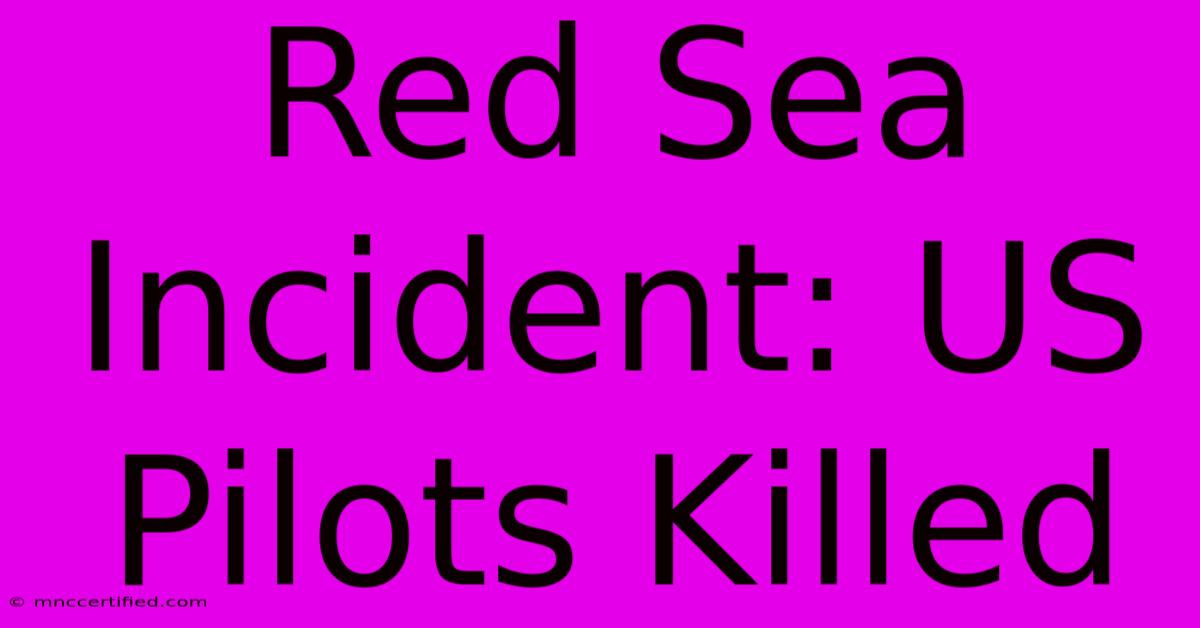 Red Sea Incident: US Pilots Killed