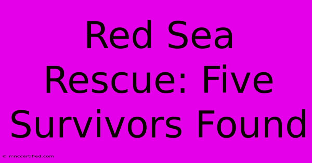 Red Sea Rescue: Five Survivors Found