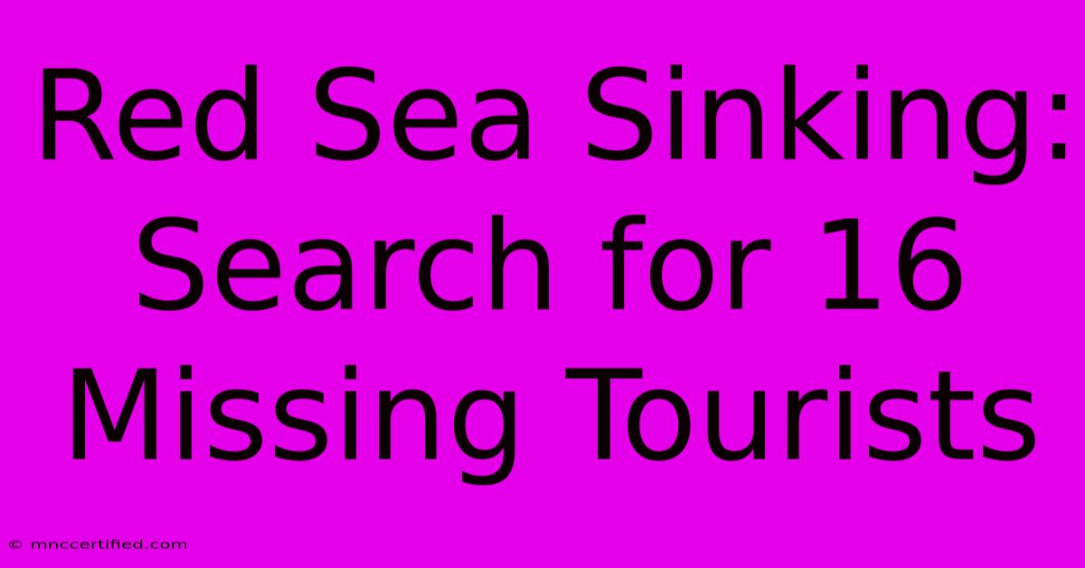 Red Sea Sinking: Search For 16 Missing Tourists