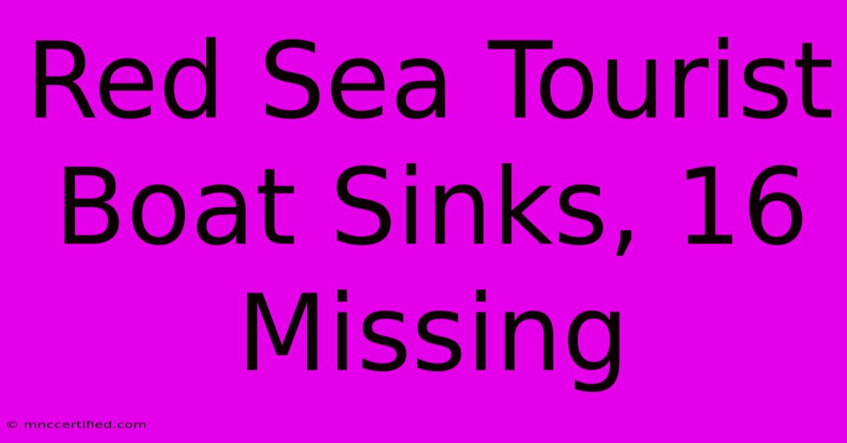 Red Sea Tourist Boat Sinks, 16 Missing