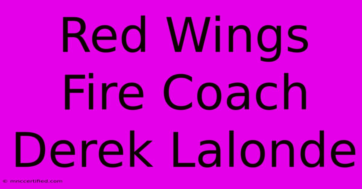 Red Wings Fire Coach Derek Lalonde