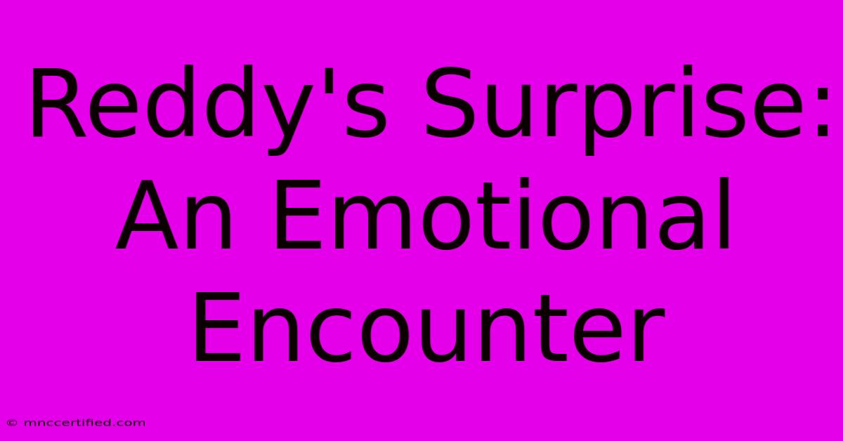 Reddy's Surprise: An Emotional Encounter