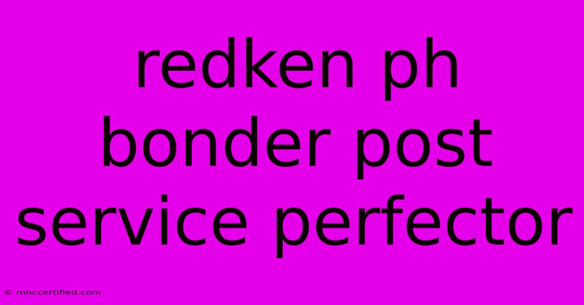 Redken Ph Bonder Post Service Perfector