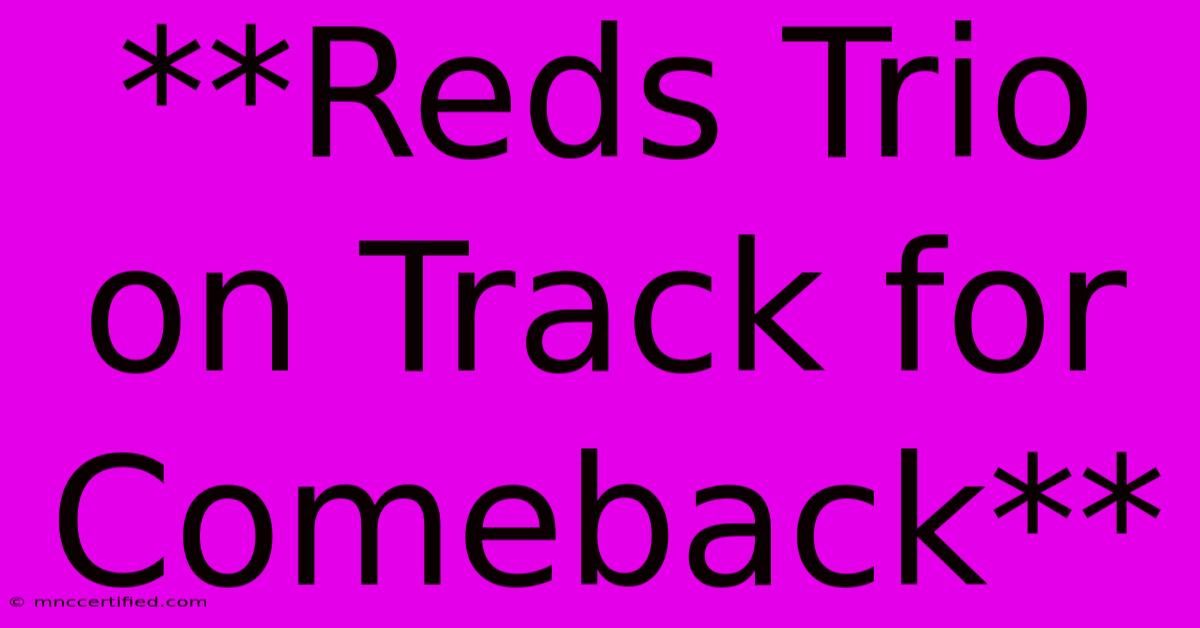 **Reds Trio On Track For Comeback** 