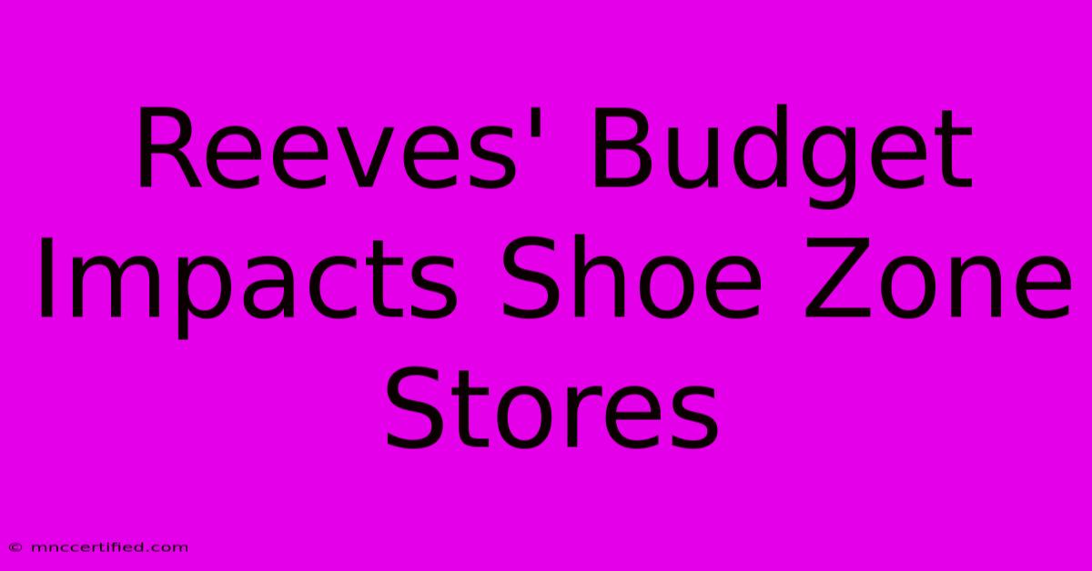 Reeves' Budget Impacts Shoe Zone Stores