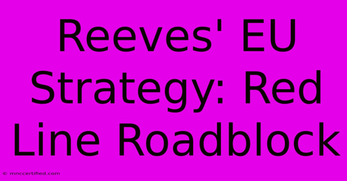 Reeves' EU Strategy: Red Line Roadblock