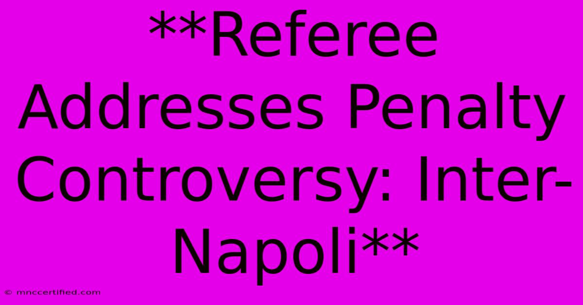 **Referee Addresses Penalty Controversy: Inter-Napoli**