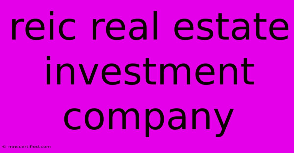 Reic Real Estate Investment Company