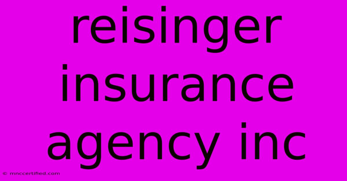 Reisinger Insurance Agency Inc