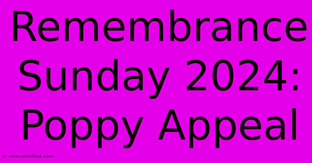 Remembrance Sunday 2024: Poppy Appeal