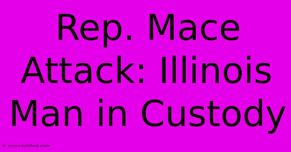 Rep. Mace Attack: Illinois Man In Custody