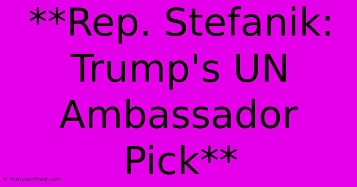 **Rep. Stefanik: Trump's UN Ambassador Pick**