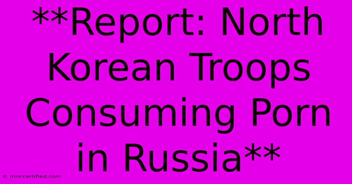 **Report: North Korean Troops Consuming Porn In Russia**