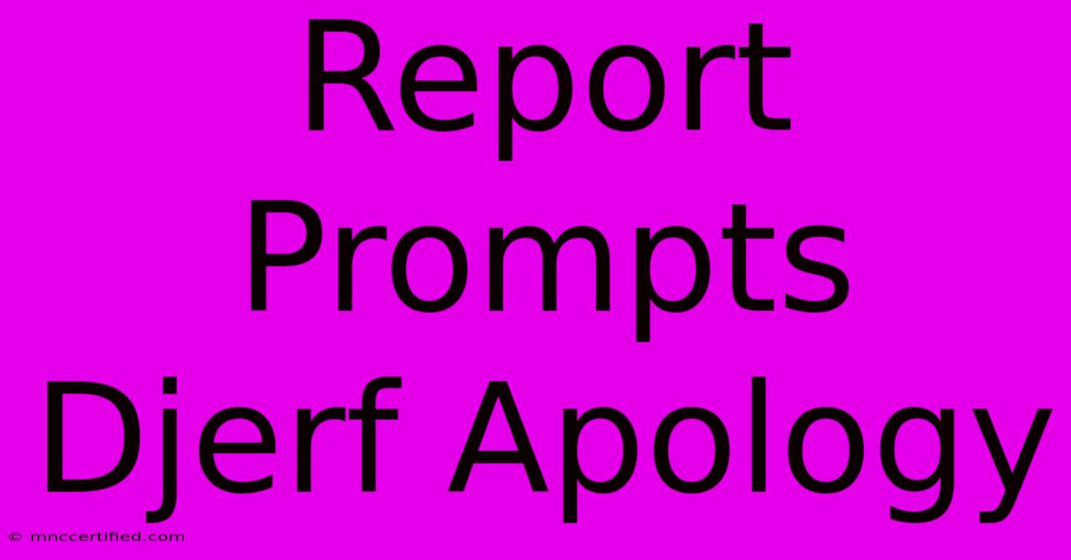 Report Prompts Djerf Apology