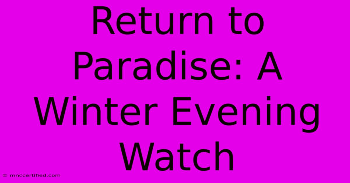 Return To Paradise: A Winter Evening Watch