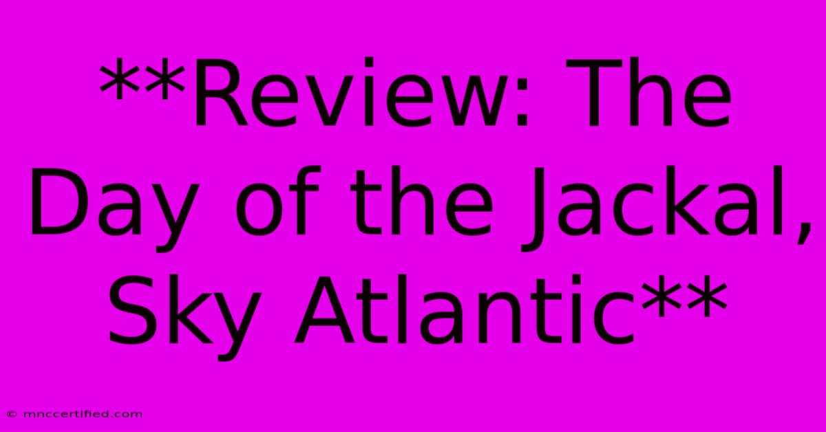 **Review: The Day Of The Jackal, Sky Atlantic** 