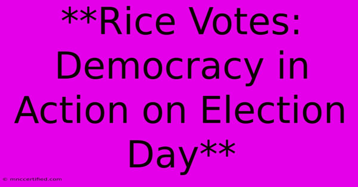 **Rice Votes: Democracy In Action On Election Day**