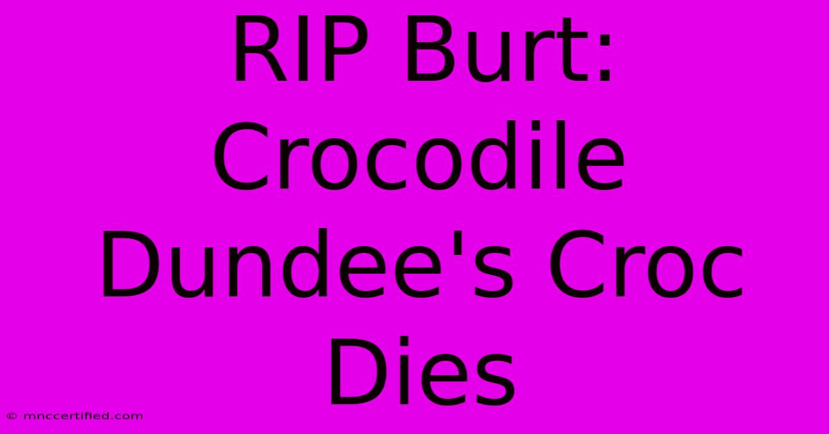 RIP Burt: Crocodile Dundee's Croc Dies