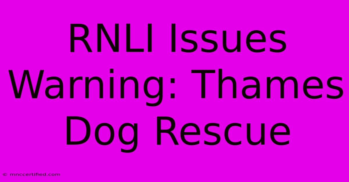 RNLI Issues Warning: Thames Dog Rescue