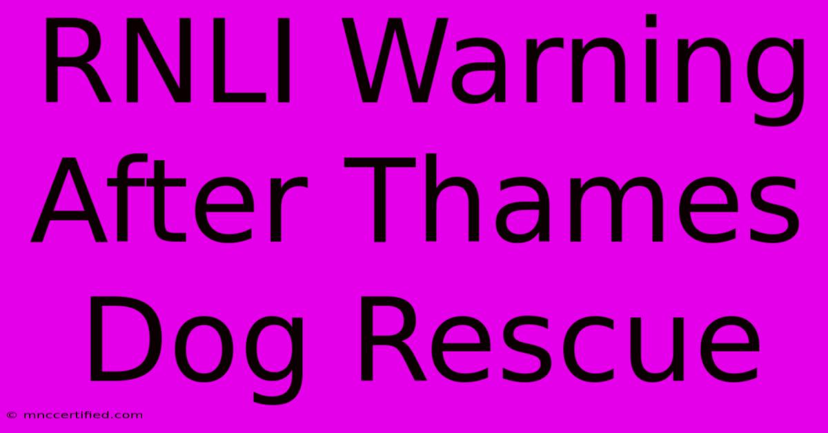 RNLI Warning After Thames Dog Rescue