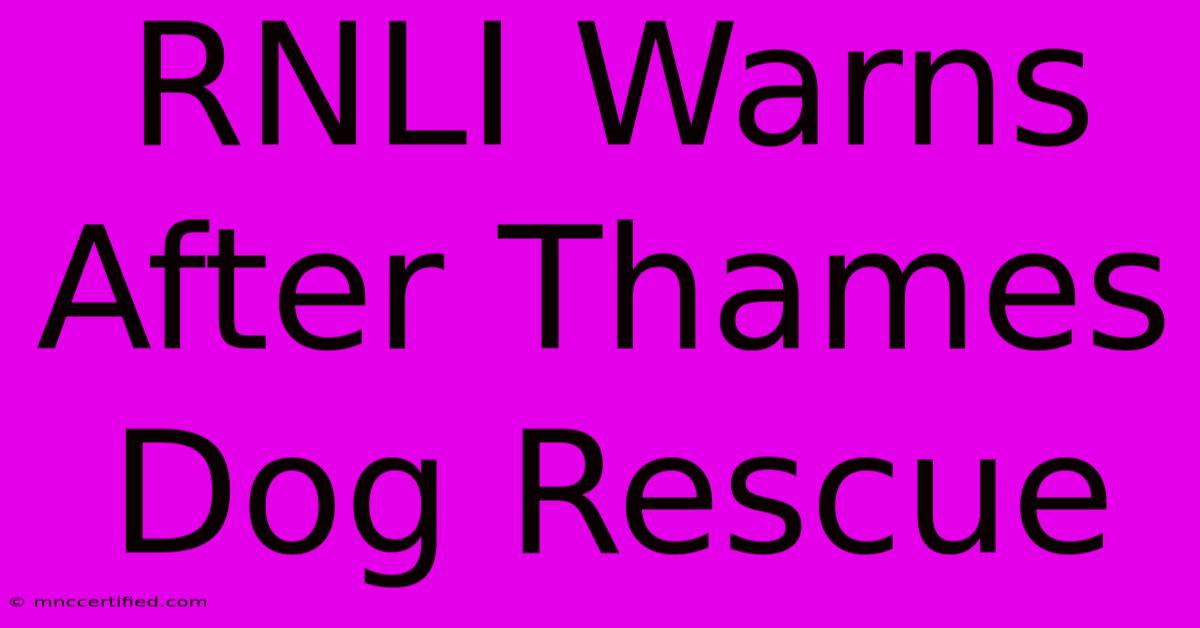 RNLI Warns After Thames Dog Rescue