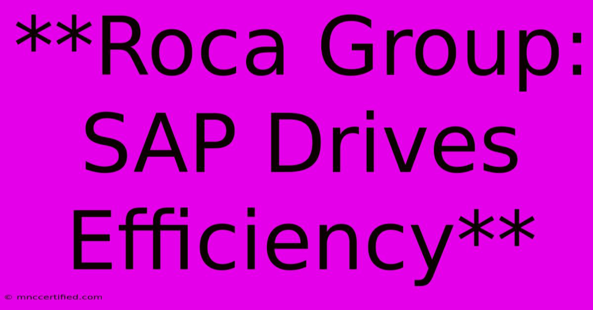 **Roca Group: SAP Drives Efficiency**