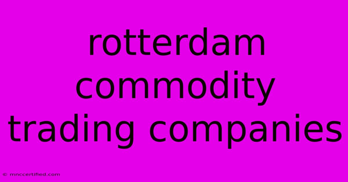 Rotterdam Commodity Trading Companies