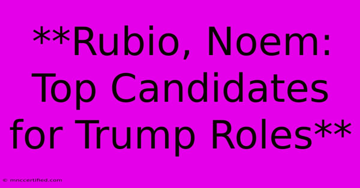 **Rubio, Noem: Top Candidates For Trump Roles** 