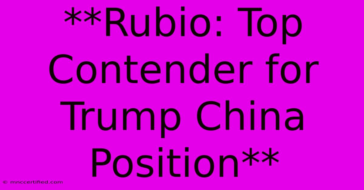 **Rubio: Top Contender For Trump China Position** 