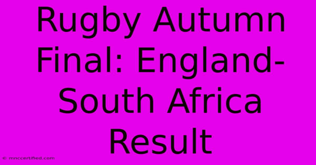 Rugby Autumn Final: England-South Africa Result